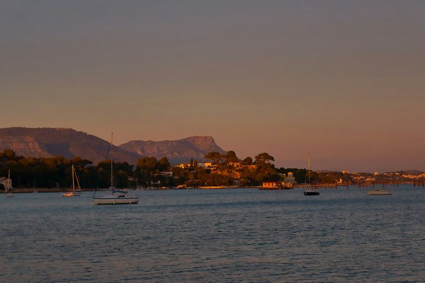 Comment organiser un camping pour une expédition de planche à voile en mer Rouge?